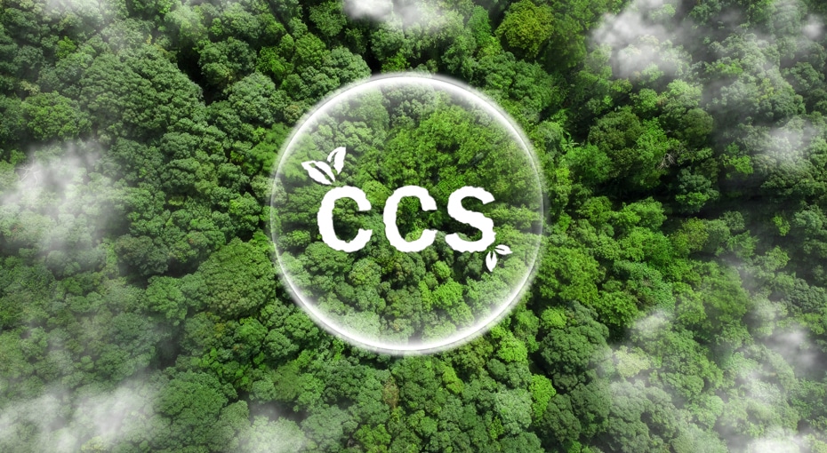 Charting a Greener Course: Carbon Capture and Storage (CCS) Sets Sail in the Maritime Industry