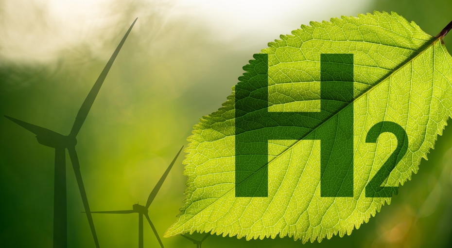 Green Hydrogen: A High-Stakes Game Changer for Maritime Decarbonization