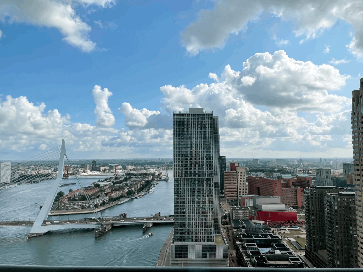 Beautiful Drinks and Bites event from our stunning Rotterdam offices!
