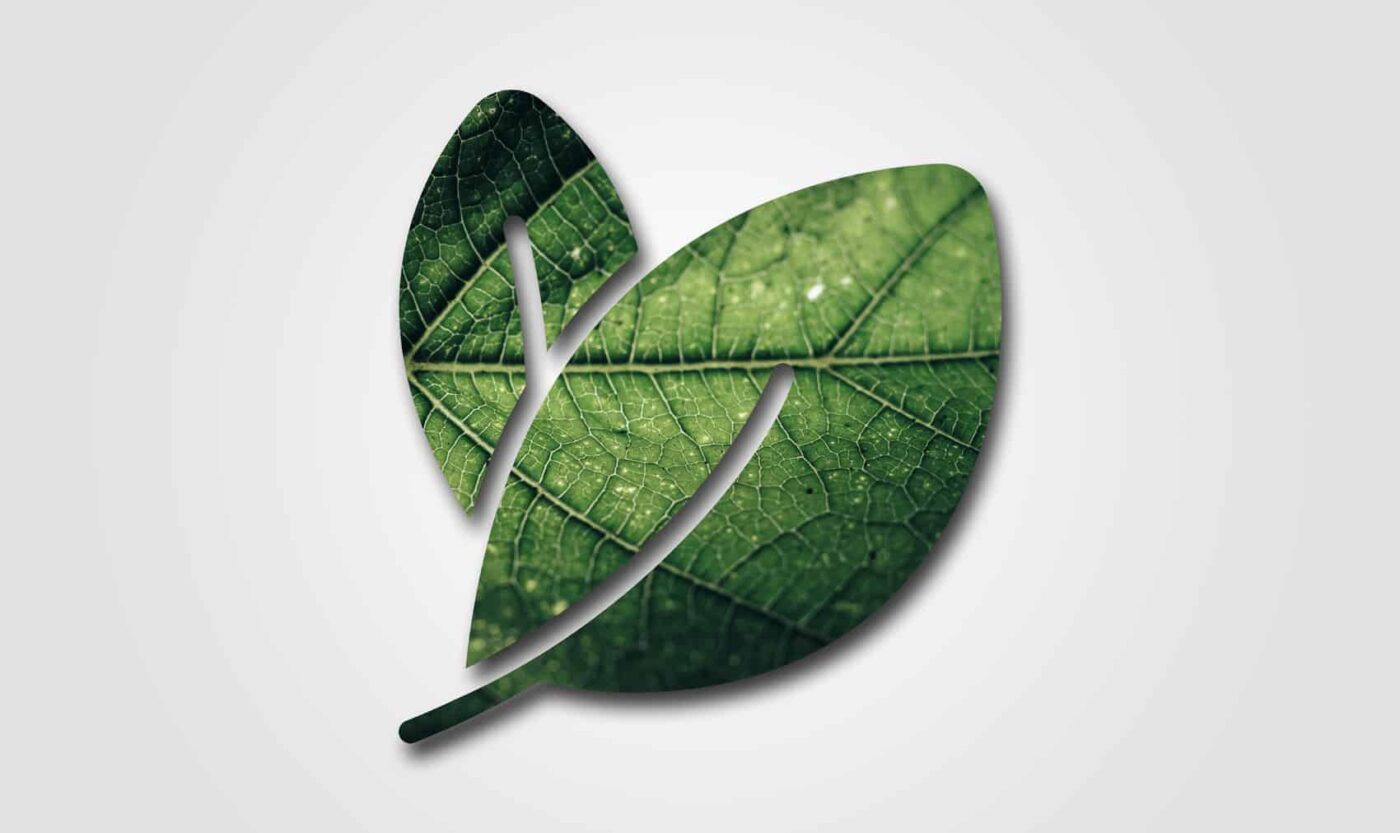 🌱 Riverlake Biofuel: the report